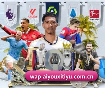 爱游戏 APP | AYX Sports